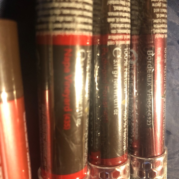 NEW All 12 Burts Bees Lip Crayons with Chrome Carrying Case - Picture 3 of 15